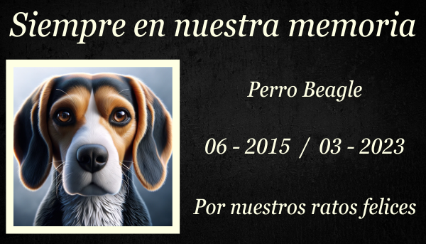 Imagen horizontal de una lápida conmemorativa sobre hierba verde dedicada a la memoria de un perro Beagle fallecido. La piedra está elegantemente tallada con diseños florales y el texto "Amado amigo" grabado en ella. Al fondo, un tranquilo jardín con la suave luz del sol que se filtra a través de los árboles, añade una atmósfera serena. https:www.lapidasparamascotas.com