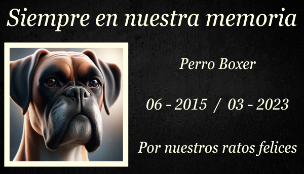 Una imagen horizontal que muestra una lápida conmemorativa de un perro Boxer fallecido, colocada sobre hierba verde. La lápida está elegantemente diseñada con tallas y grabados que reflejan el cariño hacia la mascota. El entorno es pacífico y sereno, con algunas flores colocadas alrededor de la lápida, que simbolizan el recuerdo y el amor. El ambiente transmite una sensación de calma y respeto por el compañero fallecido. https:www.lapidasparamascotas.com