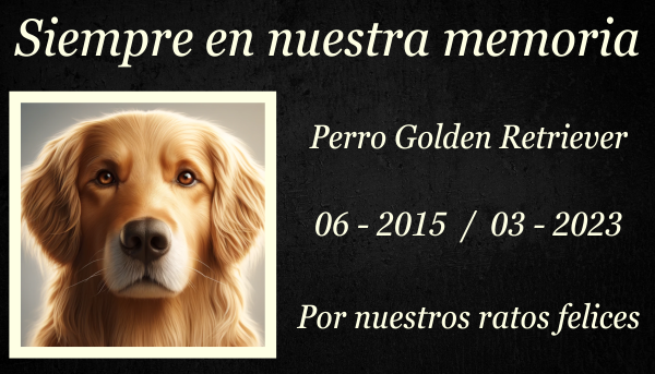 Una imagen horizontal que muestra una lápida conmemorativa sobre la hierba verde de un perro Golden Retriever fallecido. La lápida está elegantemente tallada en piedra gris y presenta una huella de pata grabada y el nombre "Buddy" en una escritura clásica. Flores como margaritas y rosas rodean la lápida, añadiendo color y calidez al entorno sereno. El fondo muestra un entorno tranquilo parecido a un jardín con algunos árboles y una suave luz del sol filtrándose a través de las hojas. https:www.lapidasparamascotas.com