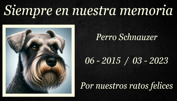 Una imagen horizontal de una lápida conmemorativa de un perro Schnauzer fallecido en un exuberante césped verde. La lápida tiene un intrincado diseño con grabados florales y una imagen tallada de un Schnauzer. El entorno es sereno, con algunas flores colocadas en la base de la lápida y una suave luz del sol que se filtra a través de los árboles cercanos, proyectando suaves sombras sobre la hierba. El ambiente es pacífico y respetuoso, reflejando amor y memoria. https:www.lapidasparamascotas.com