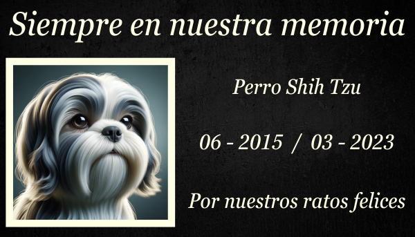 Una imagen horizontal de una lápida conmemorativa colocada sobre la hierba verde para un perro Shih Tzu fallecido. La lápida es sencilla y elegante, tallada en piedra gris, con una inscripción que se lee en delicadas letras. Alrededor de la lápida hay algunas flores esparcidas, realzando el ambiente solemne y tranquilo. La escena se desarrolla bajo un cielo azul claro, creando un monumento sereno y respetuoso. https:www.lapidasparamascotas.com