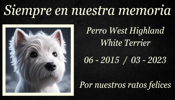 Una amplia imagen horizontal de una escena cubierta de hierba con una lápida conmemorativa en el césped de un perro West Highland White Terrier fallecido. La lápida está elegantemente tallada, con grabados que incluyen una huella de una pata y el nombre 'Max' en cursiva. El fondo incluye algunas flores y un cielo suave y soleado, creando una atmósfera tranquila. https:www.lapidasparamascotas.com