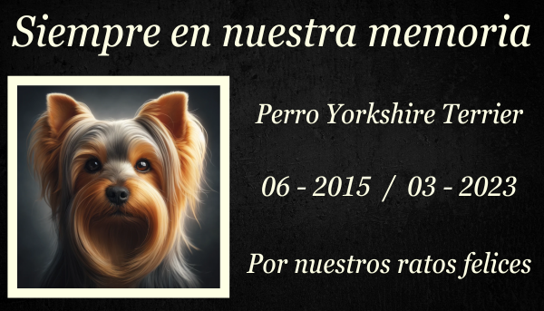 Una escena horizontal que representa una lápida conmemorativa sobre un exuberante césped verde en memoria de un Yorkshire Terrier. La lápida tiene un diseño elegante, quizás con grabados o una pequeña escultura del perro. El césped que lo rodea está bien mantenido y el entorno transmite una atmósfera pacífica y respetuosa. La escena también puede incluir algunas flores colocadas junto a la lápida, realzando el sentido de homenaje y recuerdo. https:www.lapidasparamascotas.com