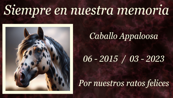 Imagen horizontal de una lápida conmemorativa de un caballo Appaloosa fallecido, colocada sobre la hierba de un prado. La lápida es sencilla y elegante, con una inscripción dedicada al caballo. Alrededor de la lápida hay flores y quizás algunos recuerdos como una herradura o una cinta. El fondo es una hermosa y tranquila pradera con hierba verde, algunas flores silvestres y algunos árboles en la distancia bajo un cielo azul claro. https:www.lapidasparamascotas.com