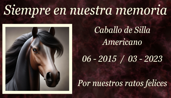 Una lápida conmemorativa de un caballo americano Saddlebred colocada o Caballo de Silla Americano sobre la hierba de un prado. La lápida está elaborada con un estilo sencillo y elegante, y presenta una silueta de caballo grabada y un epitafio. Alrededor de la lápida, hay algunas flores silvestres y la exuberante hierba verde de la pradera, con un ambiente sereno y pacífico. https:www.lapidasparamascotas.com