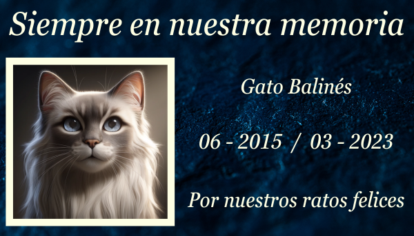 Una imagen horizontal que muestra una lápida conmemorativa sobre la hierba verde de un gato balinés fallecido. La lápida, intrincadamente tallada en piedra gris, presenta un grabado de un gato balinés y el texto "Amado amigo". El fondo muestra un entorno sereno parecido a un parque con árboles y un cielo azul suave, que transmite una atmósfera pacífica. La escena captura una sensación de respeto y tranquilidad. https:www.lapidasparamascotas.com