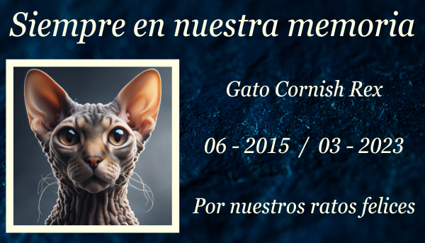 Una imagen horizontal que muestra una lápida conmemorativa de un gato Cornish Rex en el césped. La lápida es sencilla pero elegante, está hecha de granito pulido y tiene una inscripción que dice: "En memoria amorosa de [nombre del gato], amado Cornish Rex". Hay algunas flores y un pequeño ratón de juguete colocado al lado de la lápida. El fondo muestra un sereno jardín con árboles y flores, bajo un cielo azul claro. https:www.lapidasparamascotas.com