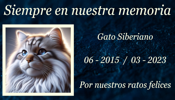 Una imagen horizontal que muestra una lápida conmemorativa sobre un césped en memoria de un gato siberiano fallecido. La lápida tiene un intrincado diseño con grabados de motivos de gatos y el nombre "Beloved Friend". El entorno es tranquilo, con algunas flores esparcidas por todos lados y la suave luz del sol filtrándose a través de los árboles cercanos, creando una atmósfera serena y respetuosa. https:www.lapidasparamascotas.com